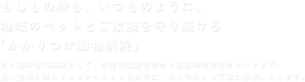 もしもの時も、いつものように。地域のペットとご家族を守り続ける「かかりつけ動物病院」