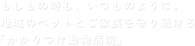 もしもの時も、いつものように。地域のペットとご家族を守り続ける「かかりつけ動物病院」
